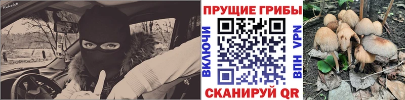 Галлюциногенные грибы Cubensis  MEGA онион  Баксан 